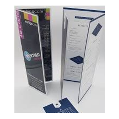 Carte 500x350 mm 4 pages